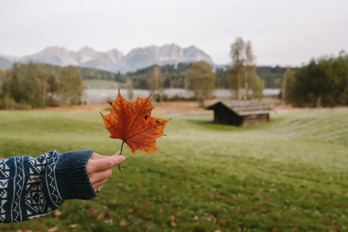 Herfst in Kitzbühel Iemand houdt een vel papier voor een huis.